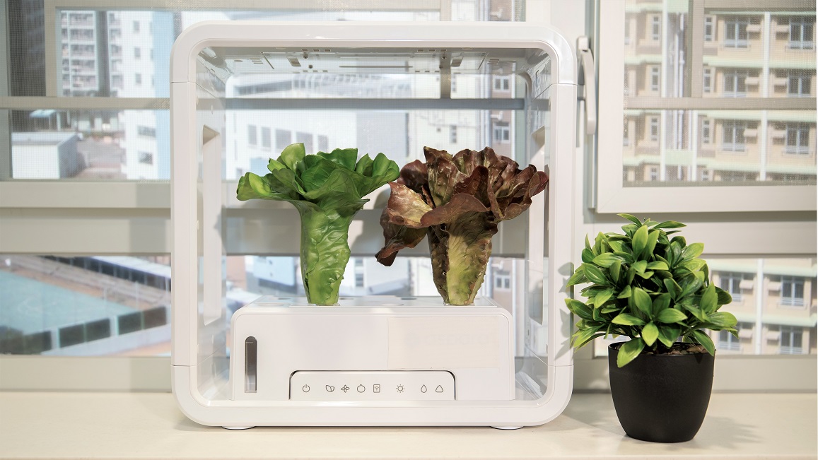 提供適度的感官刺激-相片